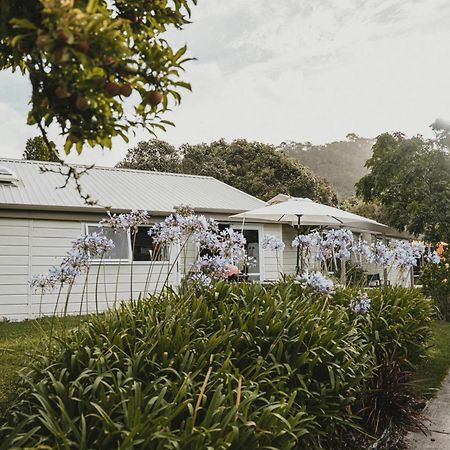 Albergue Tatahi Cove Back Packer Hahei Exterior foto